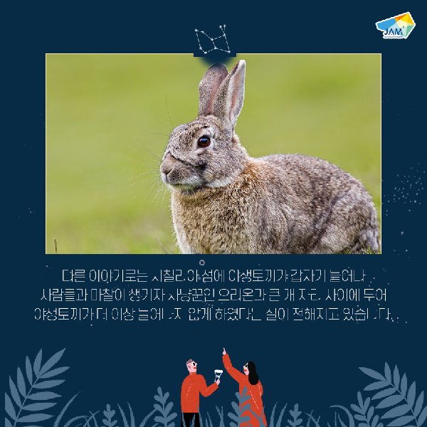 A constellation story, the Hare